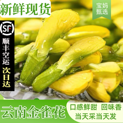 下单后采摘发货新鲜金雀花
