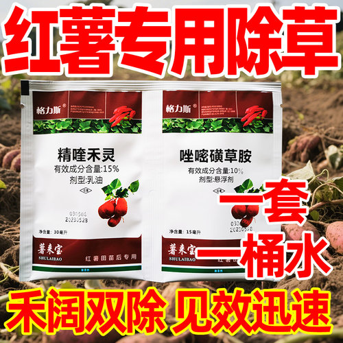 红薯苗后专用除草剂精喹禾灵