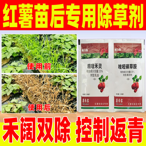 红薯苗后专用除草剂番薯