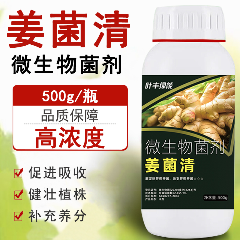 叶丰绿能姜菌清姜块膨大植株健壮生根壮苗微生物菌剂叶面肥水溶肥