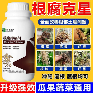 根腐抑制剂根腐病专用药杀菌剂花生大姜生姜红薯甘蔗正品农药大全