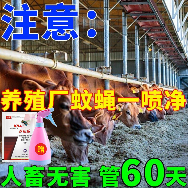 养殖场专用杀虫剂灭蝇药苍蝇杀虫剂一扫光垃圾站户外高含量效特药