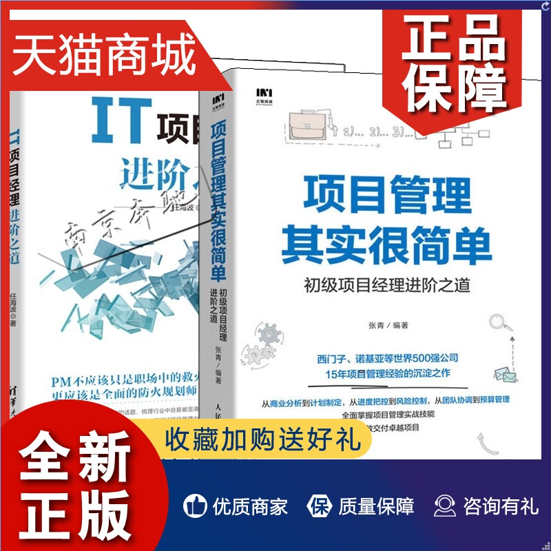 正版 2册 IT项目经理进阶之道+项目管理其实很简单 IT项目管理书籍 