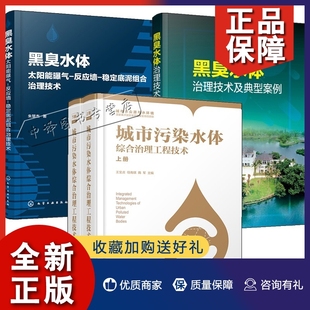 4册城市污染水体综合治理工程技术上下册 正版 黑臭水体治理技术及典型案例 黑臭水体太阳能曝气反应墙稳定底泥组合治理技术 污水治