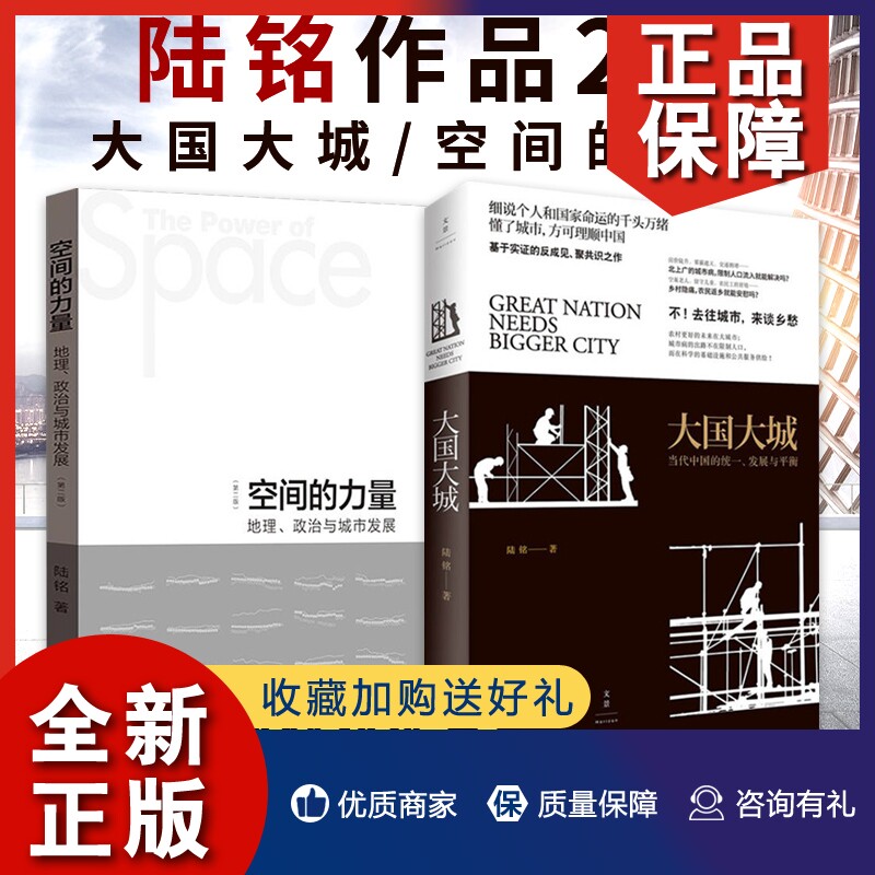 正版 陆铭作品2册 大国大城/空间的力量 地理政治与城市发展 文津图书