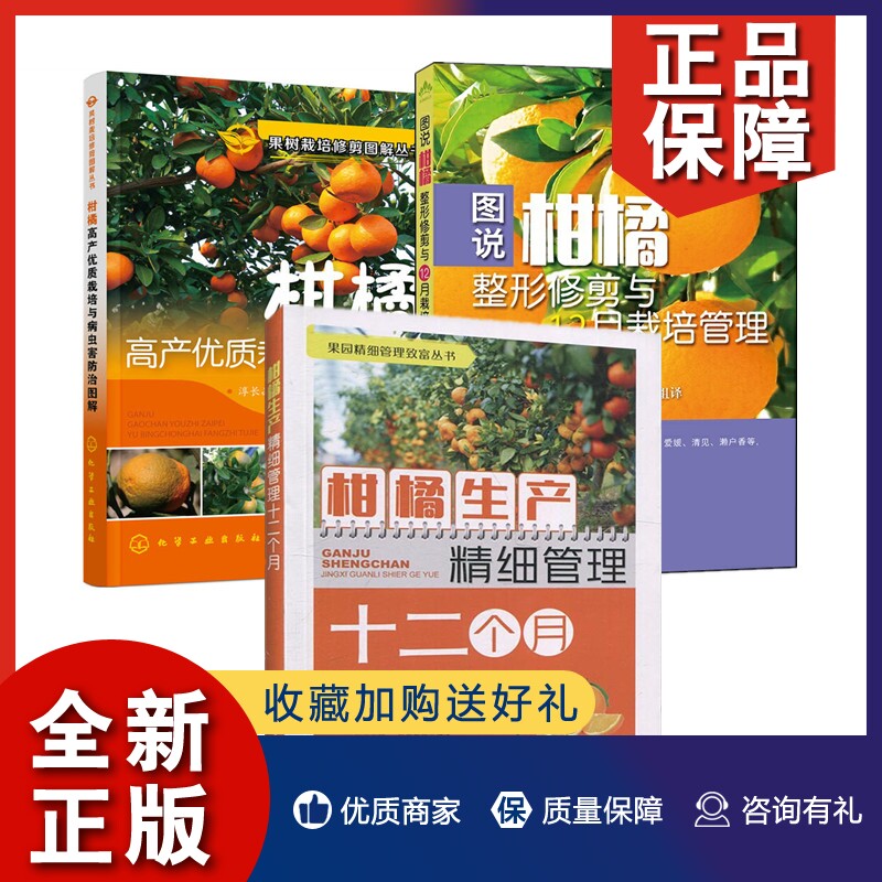 正版全3册 柑橘生产精细管理十二个月+图说柑橘修剪与12月栽培管理+柑橘高产优质栽培与病虫害图解柑橘栽培新技术果树种植技术属于什么档次？