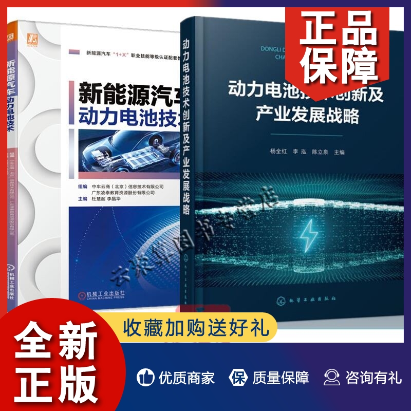 正版2册 动力电池技术创新及产业发展战略+新能源汽车动力电池技术 动力电池发展锂硫电池全固态电池动力电池生产科技应用技术原理