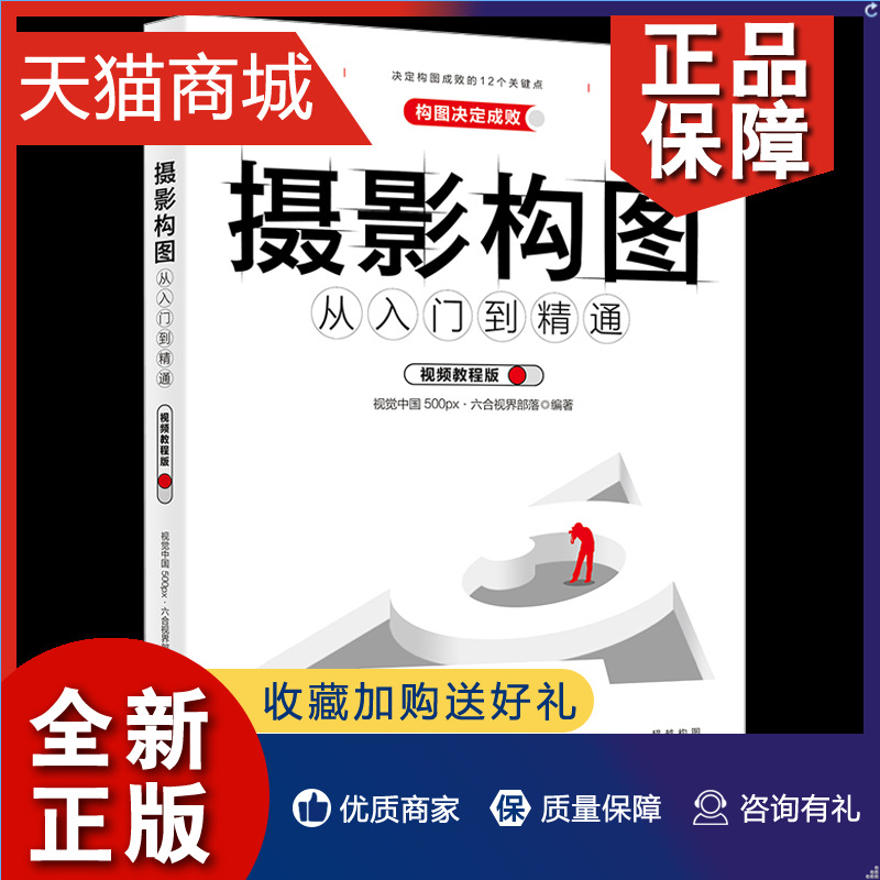 正版摄影构图从入门到通视频教程版视觉中国 500px六合视界部落著北京大学摄影新手从入门开始循序渐进学习摄影构图书