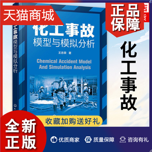 化工企业安全生产书籍 正版 安全科学与工程专业书籍 凤凰化工事故模型与模拟分析 化学工业