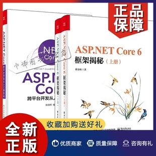 ASP.NET Core6框架揭秘上下册蒋金楠NET Core初学ASP.NET Core教程零基础进阶 全3册 Core跨平台开发从入门到实战 正版