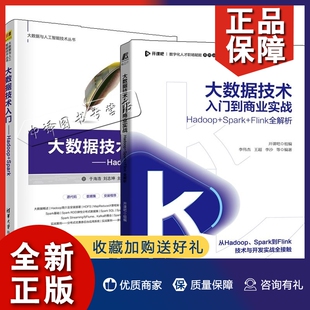 Flink全解析 正版 大数据应用开发机器学习数据挖 于海浩 Hadoop 大数据技术入门到商业实战 Spark 2册大数据技术入门