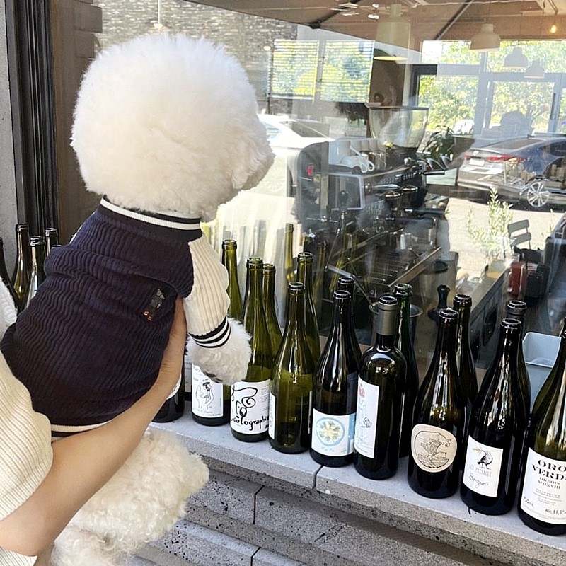 狗狗衣服棒球衣秋季保暖服