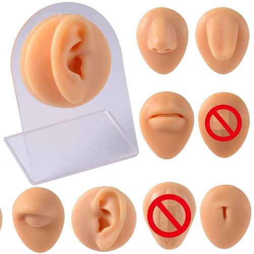 仿真软硅胶模型穿刺练习饰品展示