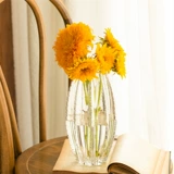 Современный простой кактус новый стиль простые гидропонные прозрачные стеклянные ваза