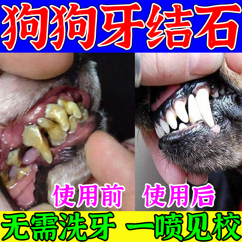 狗狗牙结石去除神器除口臭