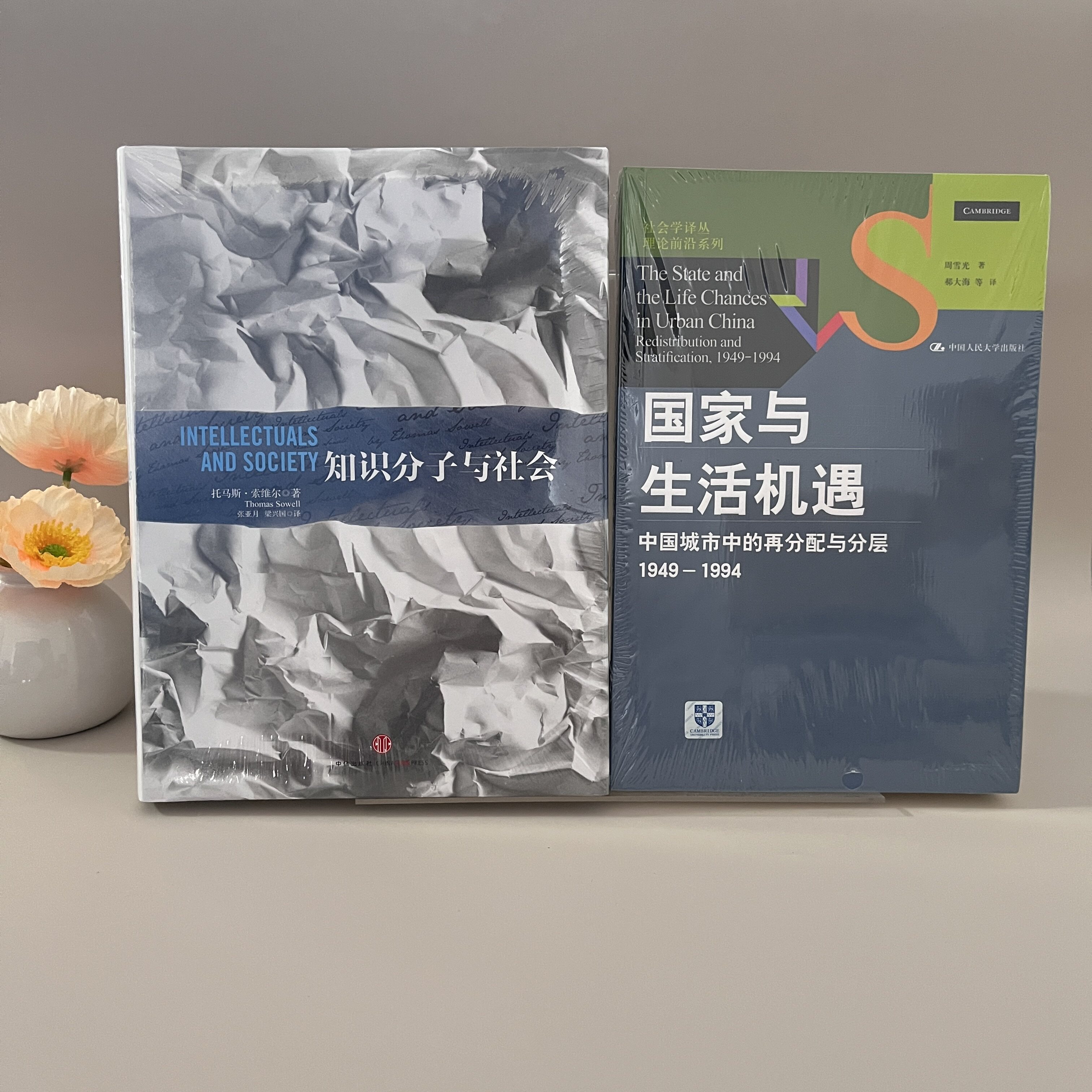 正版全新速发 知识分子与社会 托马斯索维尔 著 张亚月 梁兴国 译+国家生活与机遇中国城市中的再分配与分层 周雪光 著 郝大海 译