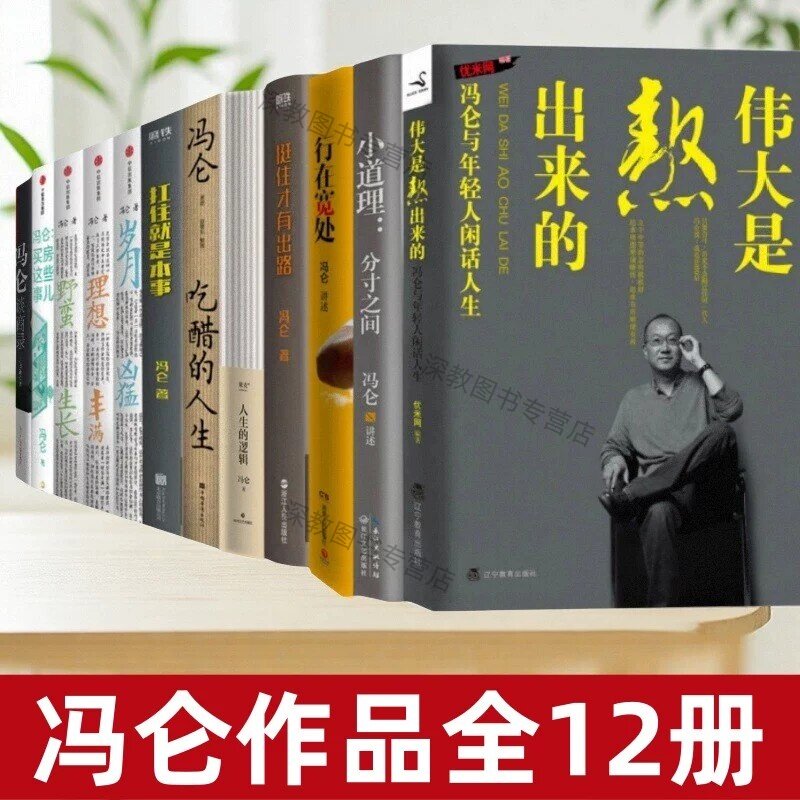 冯仑作品全12册伟大是熬出来的