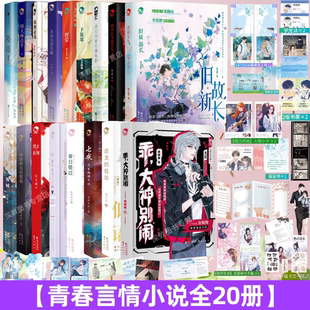 【青春言情小说全20册】旧故新长+我们的夏天像电影+坠落+春日错过+怪少女与王子病+山海琳琅书+叛城+真相是真6 青春言情纯爱小说