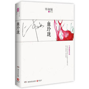 血玲珑淑敏湖南文艺出版 包邮 书 社 正版