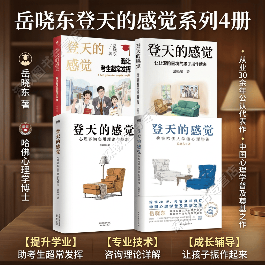 岳晓东登天的感觉系列全4册