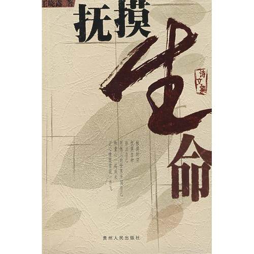 【正版书包邮】抚摸生命王晓露贵州人民出版社