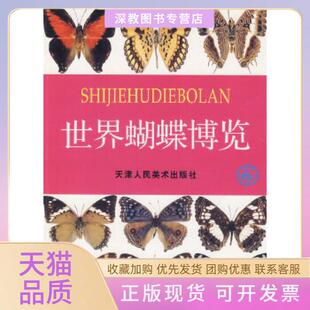 【正版书包邮】世界蝴蝶博览孙桂华天津人民美术出版社