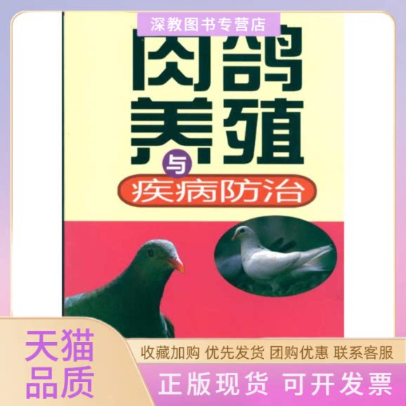 【正版书包邮】肉鸽养殖与疾病防治向前河南科学技术出版社