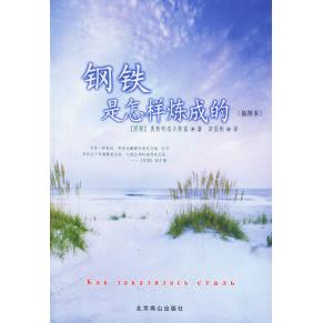 【正版书包邮】钢铁是怎样炼成的插图本奥斯特洛夫斯基田国彬北京燕山出版社
