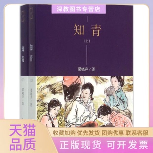 【正版书包邮】知青梁晓声中国青年出版社