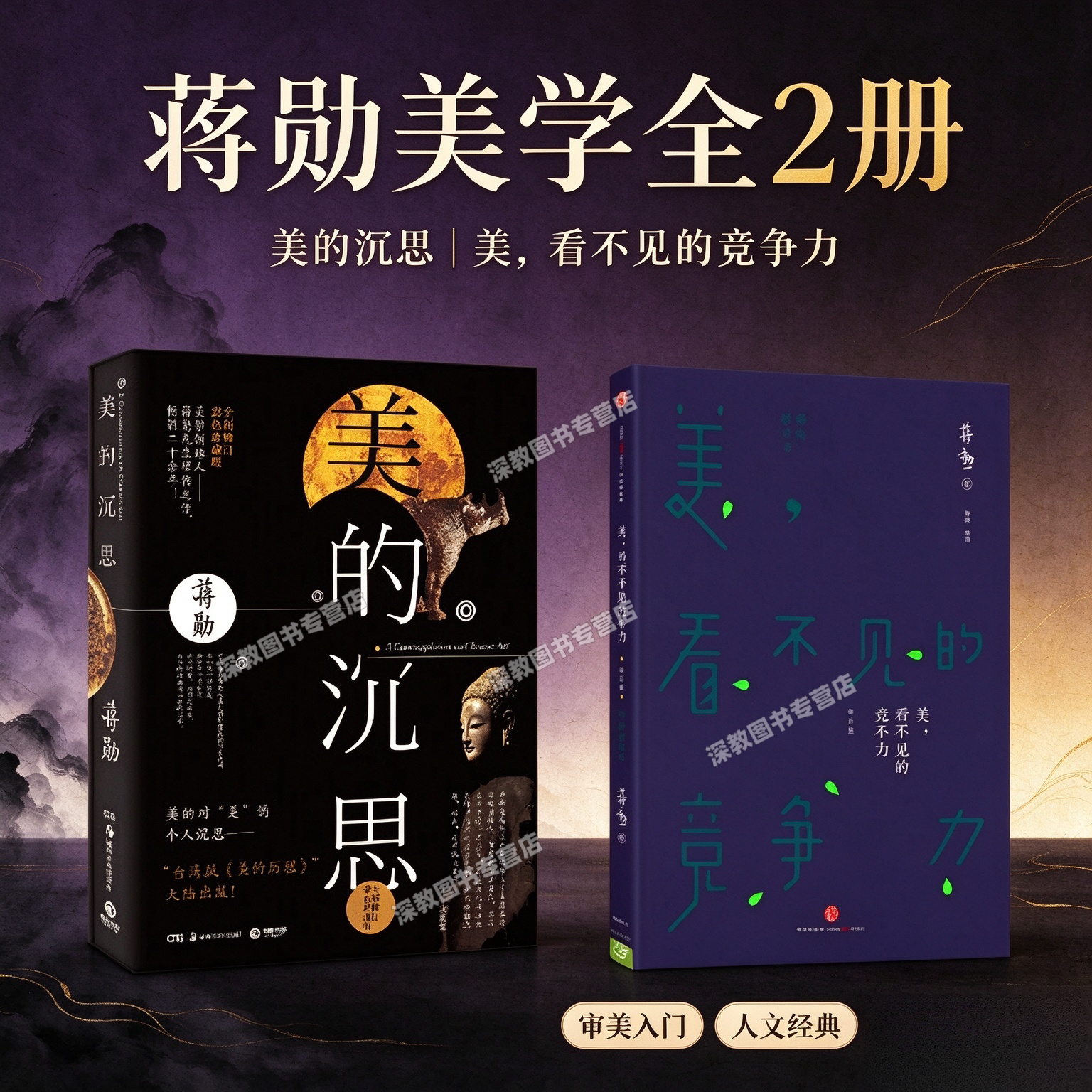 【蒋勋美学全2册】美看不见