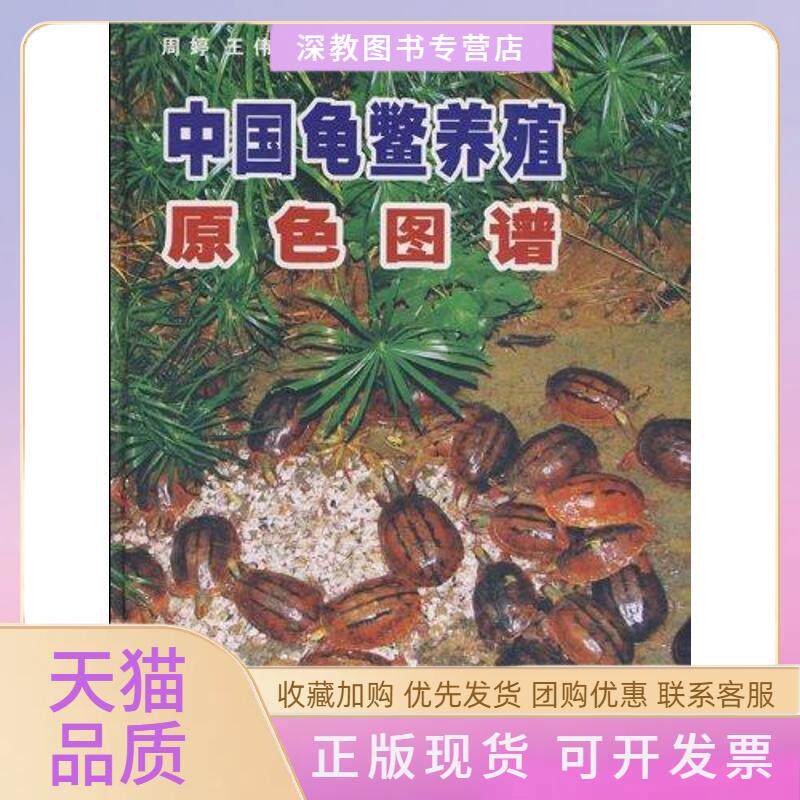 【正版书包邮】中国龟鳖养殖原色图谱周婷王伟中国农业出版社