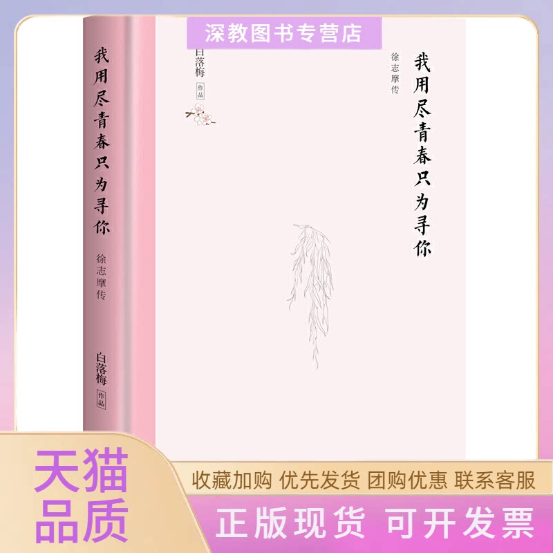 【正版书包邮】我用尽青春只为寻你白落梅湖南文艺出版社