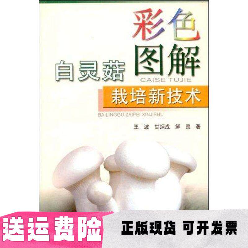 【正版书包邮】彩色图解白灵菇栽培新技术王波鲜灵甘炳成四川出版集团