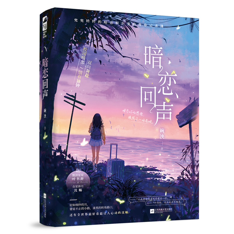 暗恋回声正版新书速发