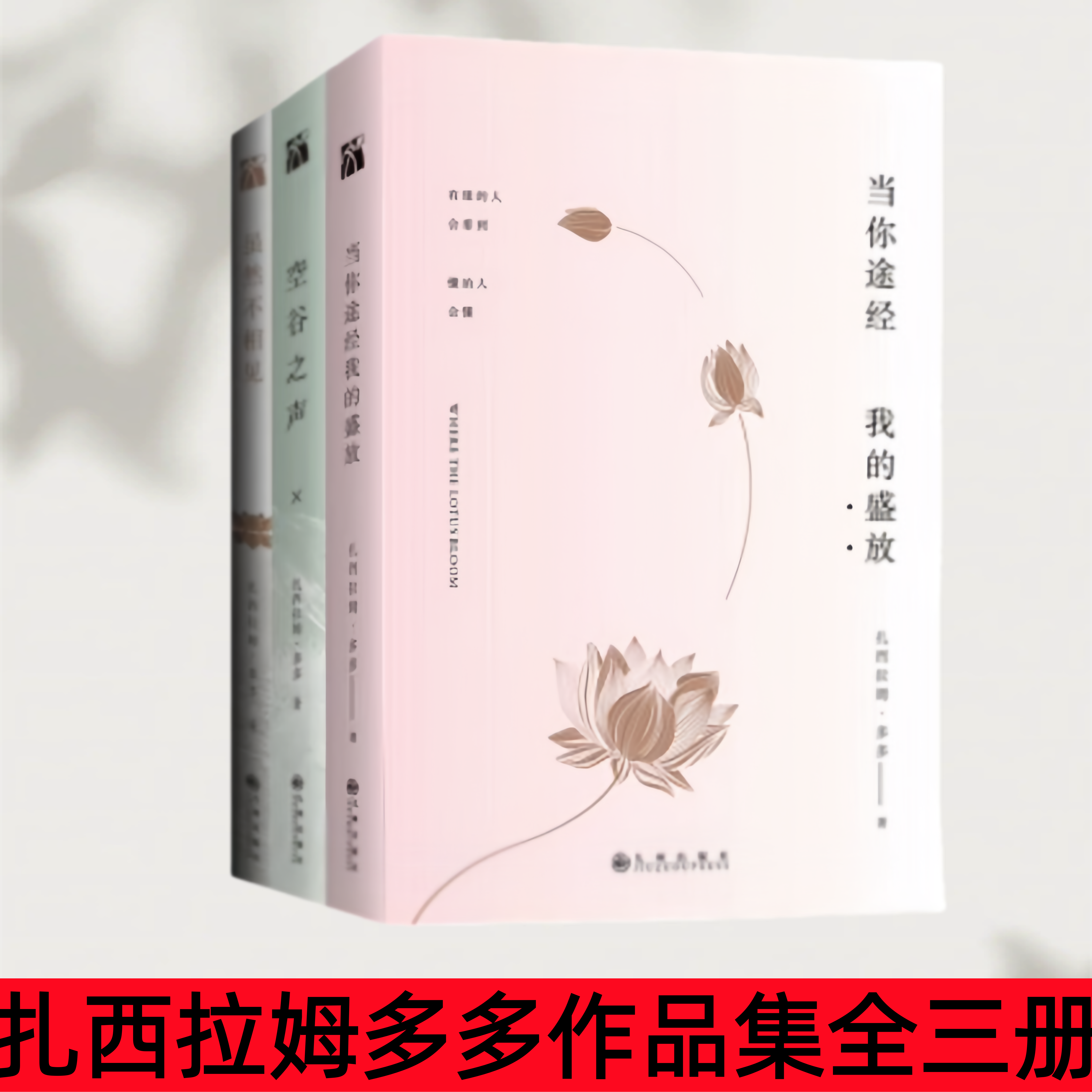 【扎西拉姆多多作品集全三册】当你途经我的盛放+空谷之声+虽然不相见 现代当代文学散文书籍