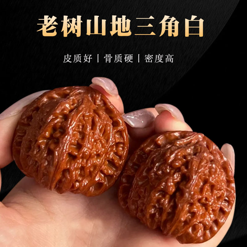 文玩核桃御文者山地三角白狮子图片