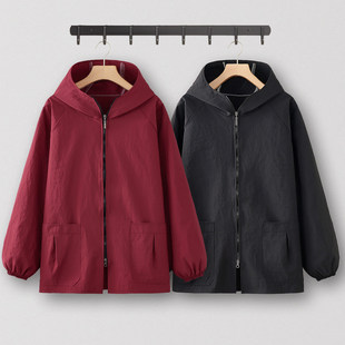 短款工作服罩衣女新款长袖定制围裙厨房家用洋气上班专用防水防油