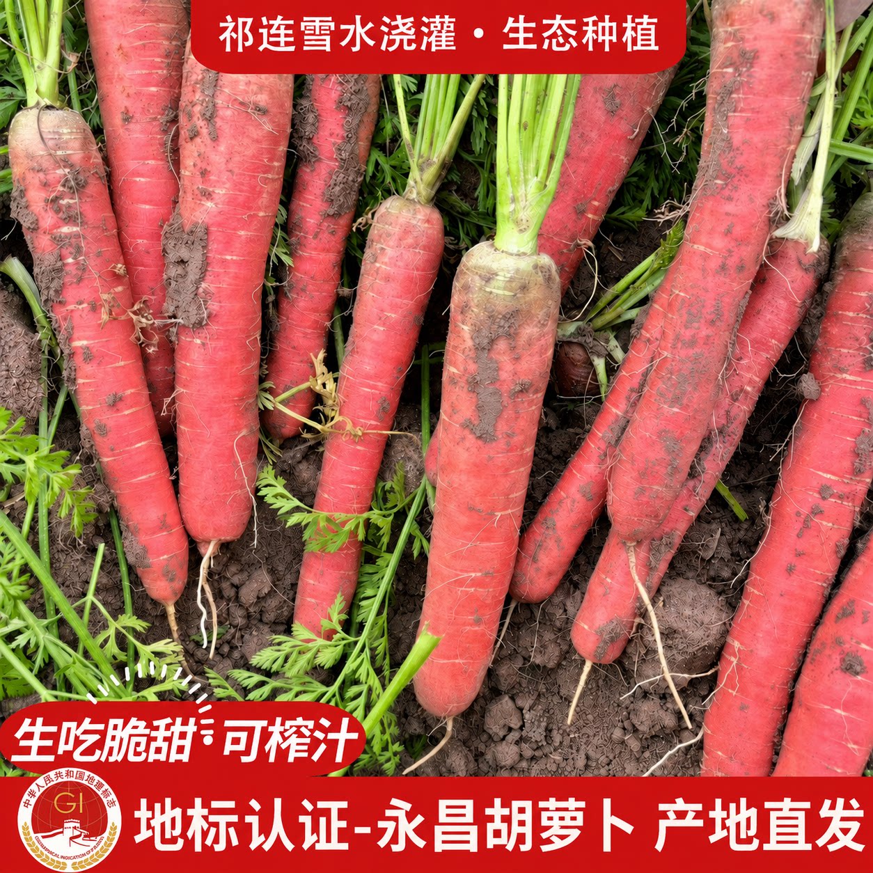 【地标认证】甘肃永昌红胡萝卜新鲜农家水果黑胡萝卜辅食紫胡萝卜
