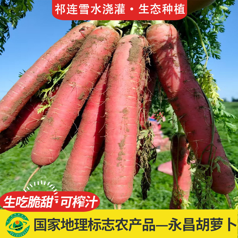水果胡萝卜生吃脆甜即食永昌胡萝卜带泥农家自种沙地红胡萝卜新鲜,水产肉类/新鲜蔬果/熟食,萝卜/胡萝卜,淘宝优惠券,粉丝福利购,淘宝优惠卷