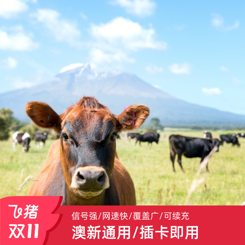 新西兰电话卡