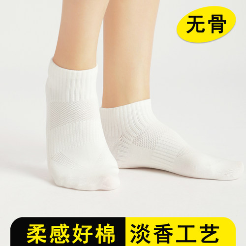 忻绵袜子女款男春夏款短袜纯色棉袜 无骨香薰防臭跑步运动