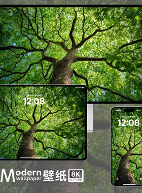 绿色大树8K高清壁纸iPhone手机ipad平板电脑mac桌面风景护眼插画