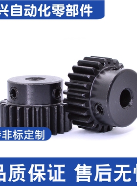 VNF22/VNF23/VNF43-1.0-20 23 24 30 40 70-B-P8 P10 P12 直齿轮