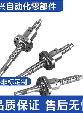 C-BSSTH BSSCH C-BSSTHK C-BSSCHK2005 2010 2020 2505 滚珠丝杠