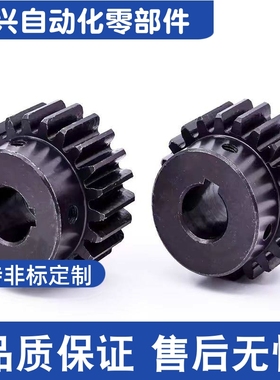 VNR43-3.0-14-B30-B-P12NP14N P15N P16N P17NP18NP19NP20N直齿轮