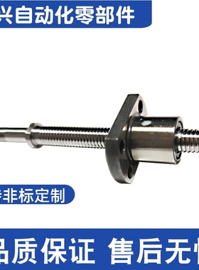 XSVR BSSE BSS BSSC1505 1210 1510 1520 2010 2020滚珠丝杆丝杠