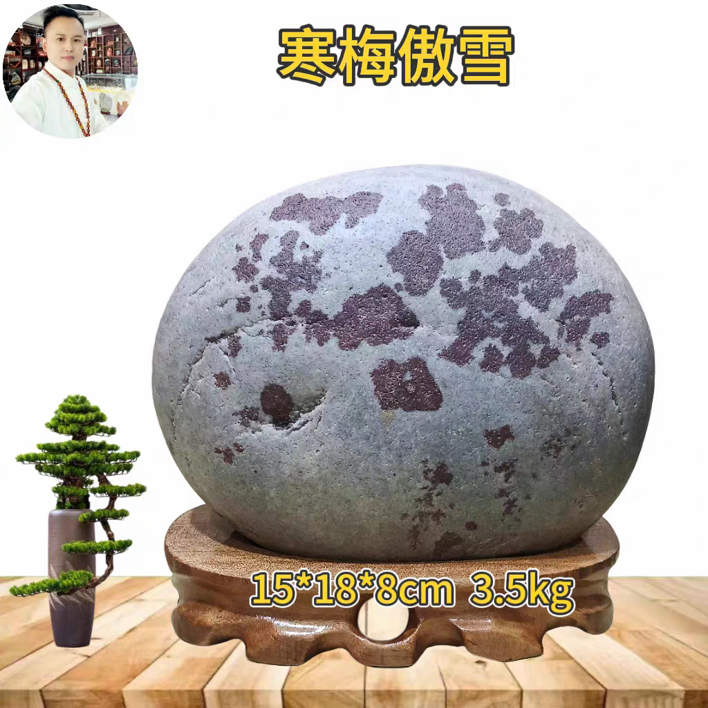 寒梅傲雪长江天然水冲水墨画面石原石奇石办公居家风水吉祥摆件