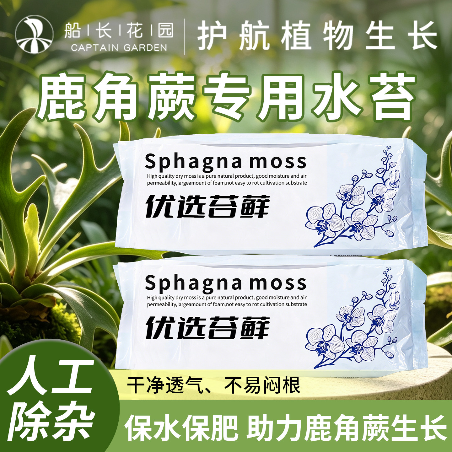 进口鹿角蕨水苔球种植专用土图片