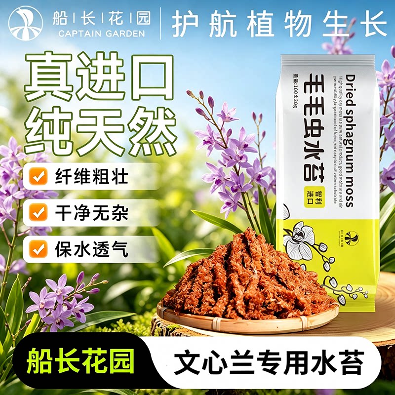 文心兰专用毛毛虫水苔保湿盆栽天然干苔藓透气促根兰花盆栽栽培
