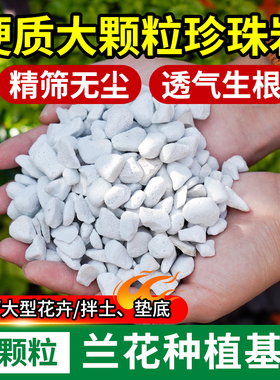 兰花植料珍珠岩无尘大颗粒养花通用营养土多肉兰种植育苗硬质植料